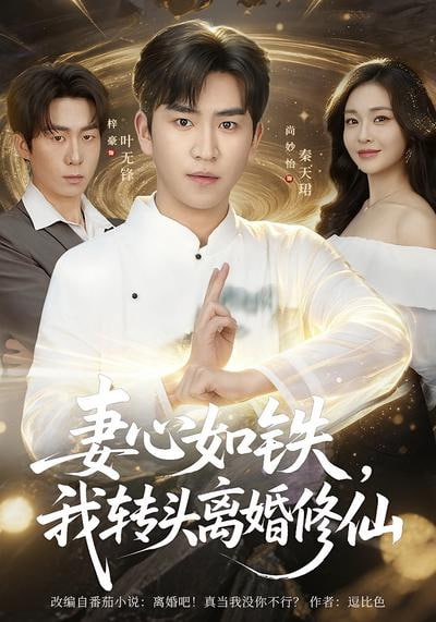 妻心如铁我转头离婚修仙全集