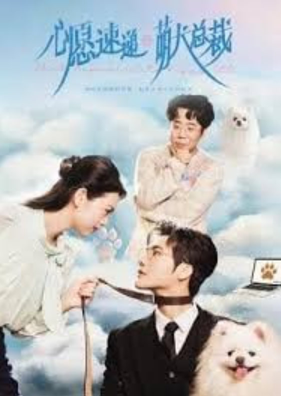 心愿速递之萌犬总裁全集