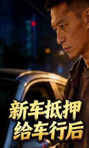 新车抵押给车行后全集