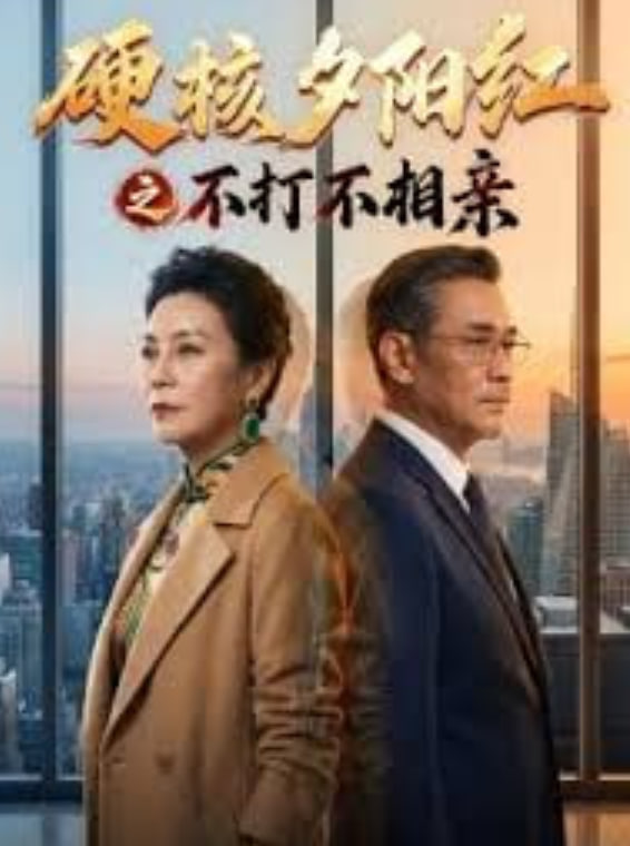 硬核夕阳红之不打不相亲全集