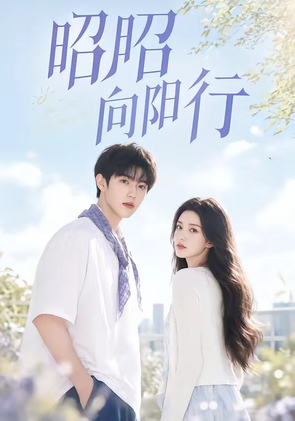 昭昭向阳行全集