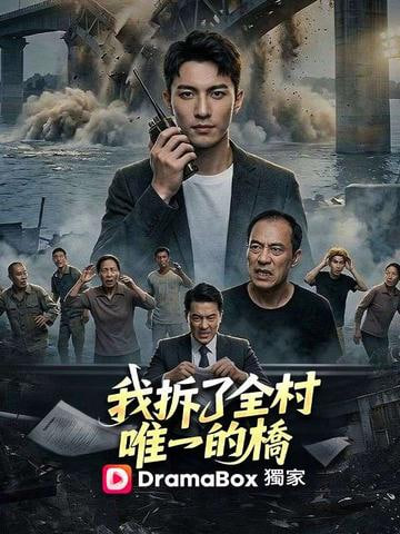 我拆了全村唯一的桥全集