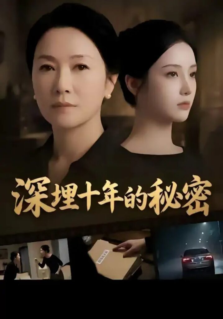 深埋十年的秘密全集