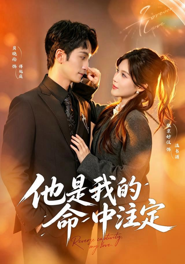 他是我的命中注定全集