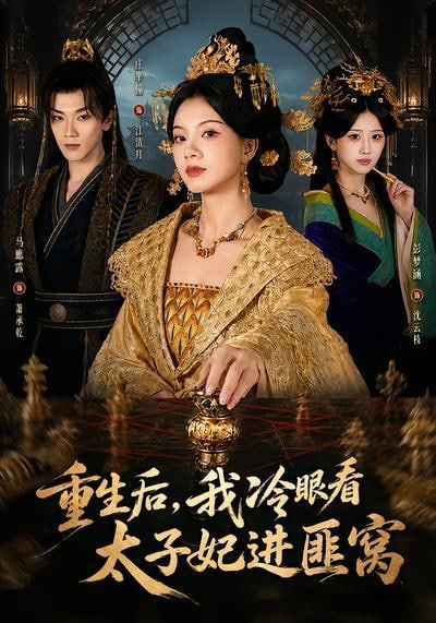 重生后，我冷眼看太子妃进匪窝全集