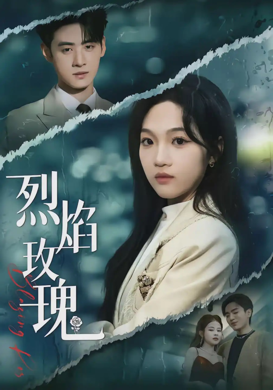 烈焰玫瑰全集