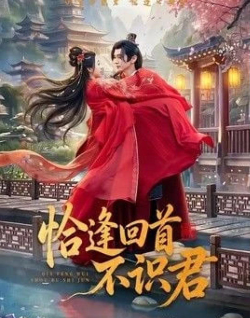 恰逢回首不识君全集