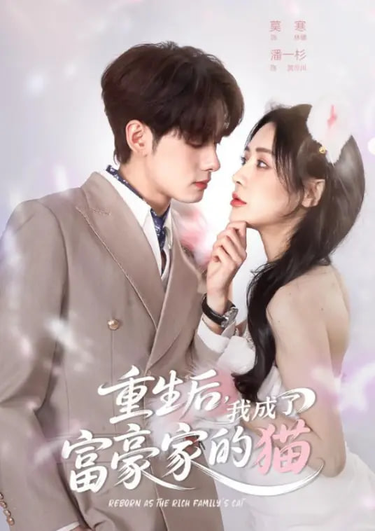 重生后，我成了富豪家的猫全集