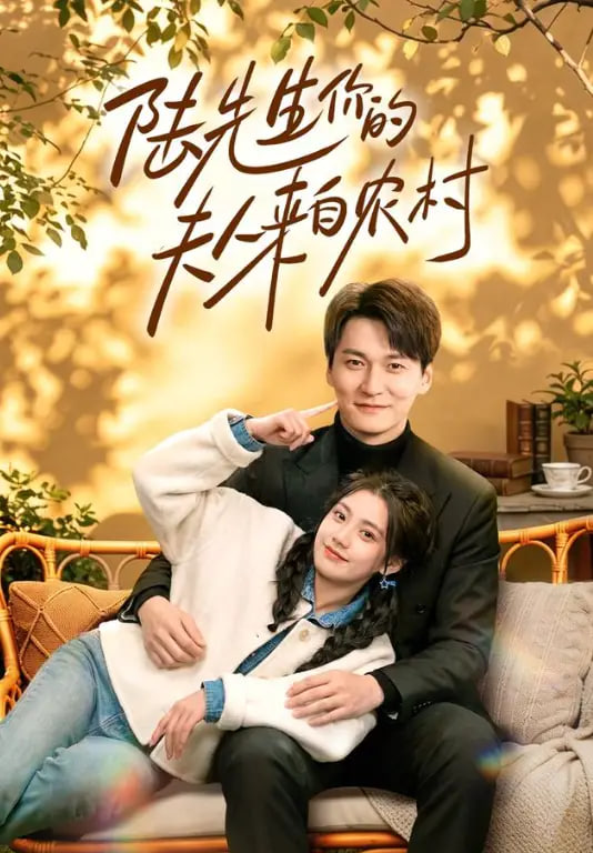 陆先生你的夫人来自农村全集