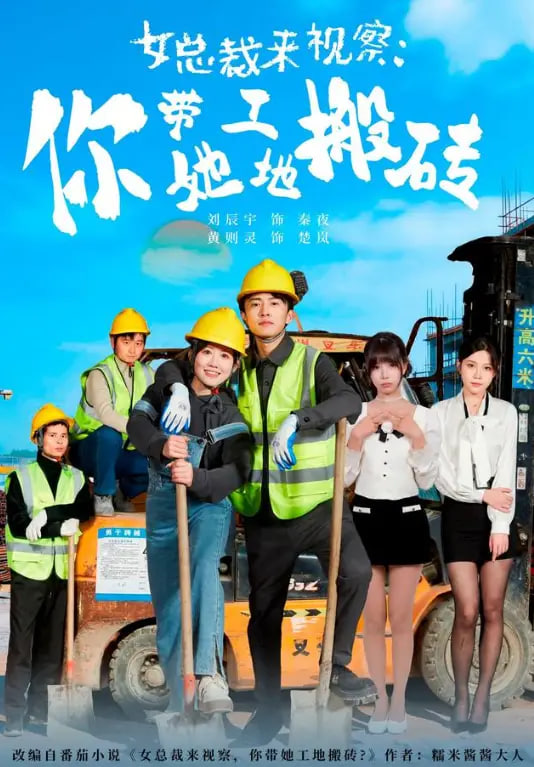 女总裁来视察：你带她工地搬砖全集