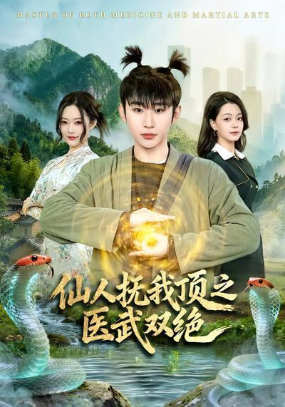 仙人抚我顶之医武双绝全集