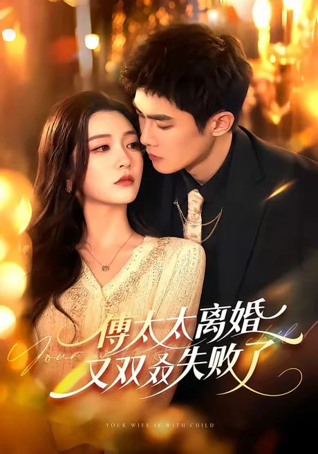 傅太太离婚又双叒失败了全集