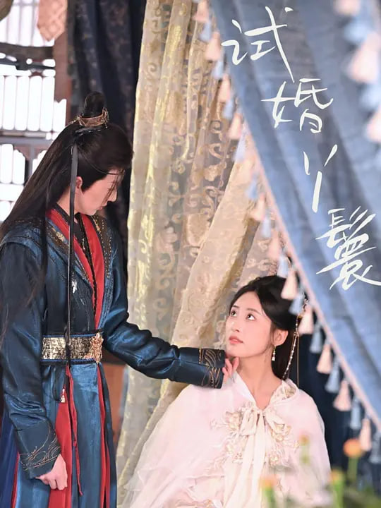 试婚丫鬟全集