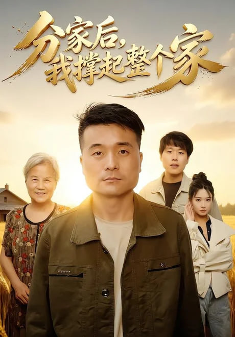分家后我撑起整个家全集