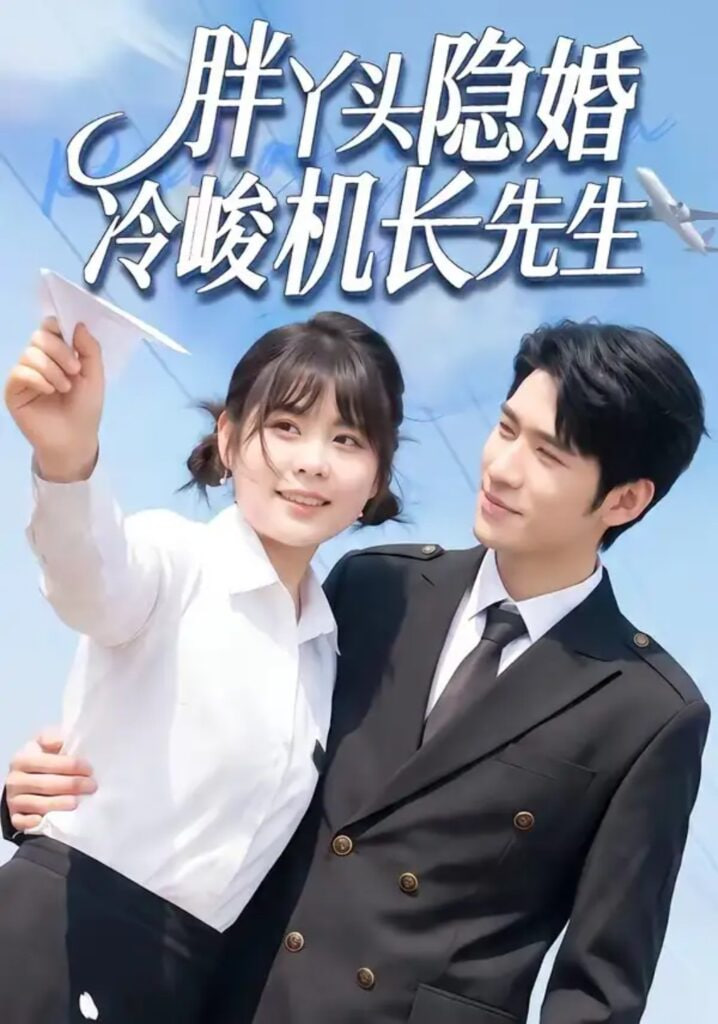 胖丫头隐婚冷峻机长先生全集