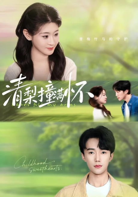 清梨撞满怀全集