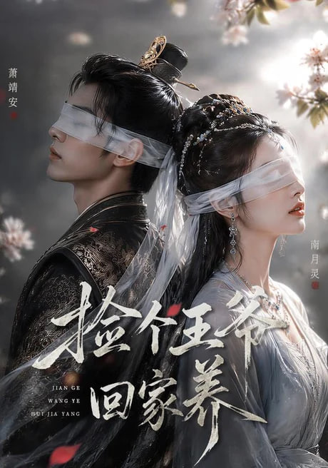 捡个王爷回家养全集