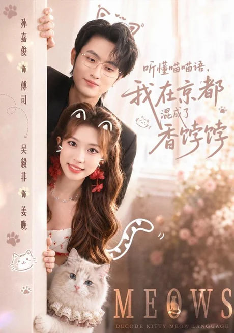 听懂喵喵语，我在京都混成了香饽饽全集