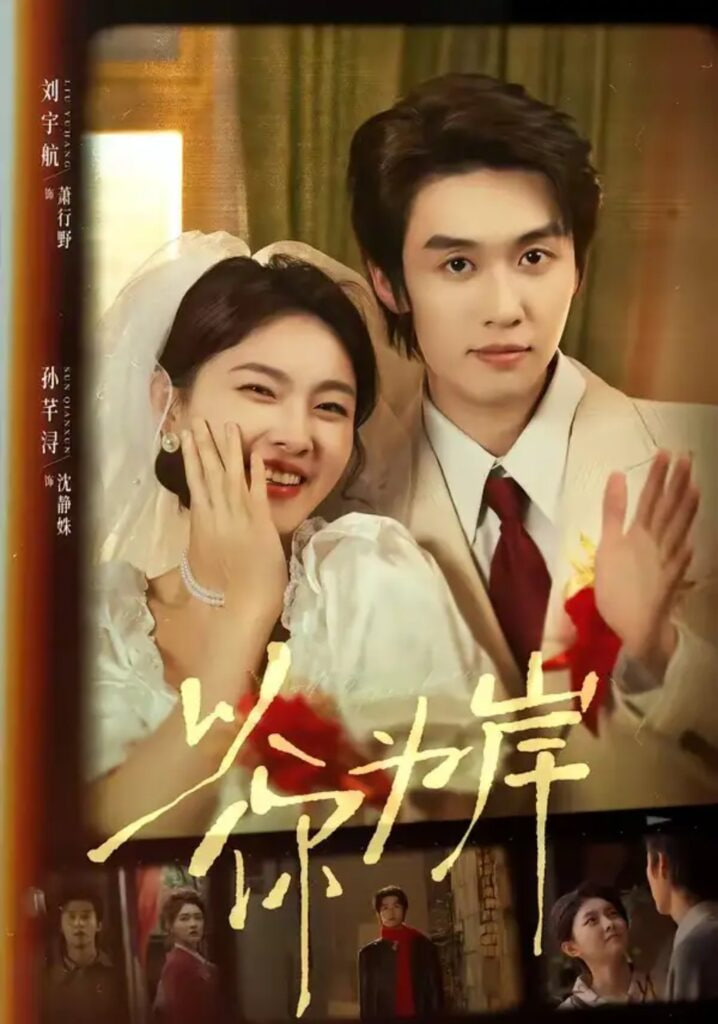 以你为岸全集