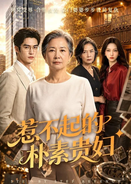 惹不起的朴素贵妇全集