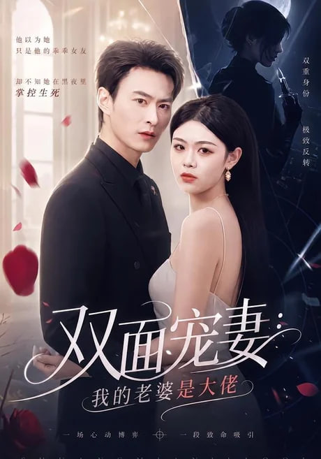 双面宠妻：我的老婆是大佬全集