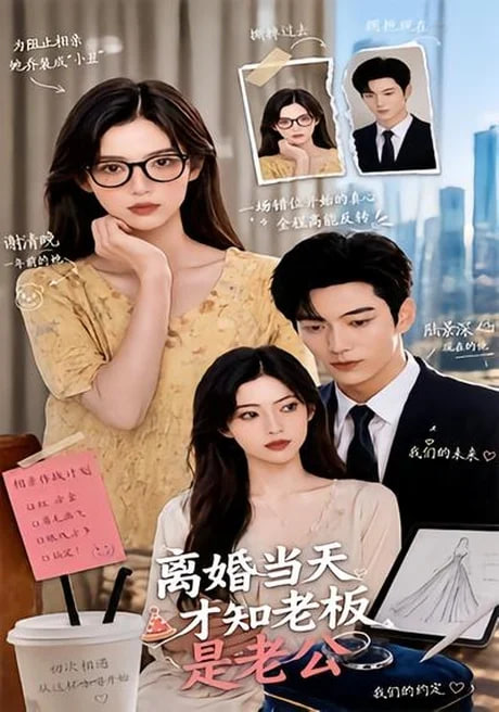 离婚当天才知老板是老公全集