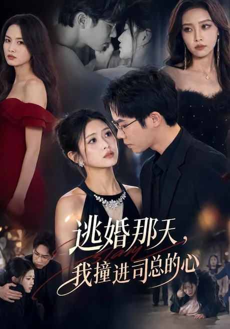 逃婚那天，我撞进司总的心全集