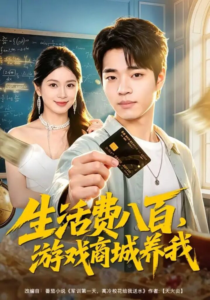 生活费八百，游戏商城养我全集