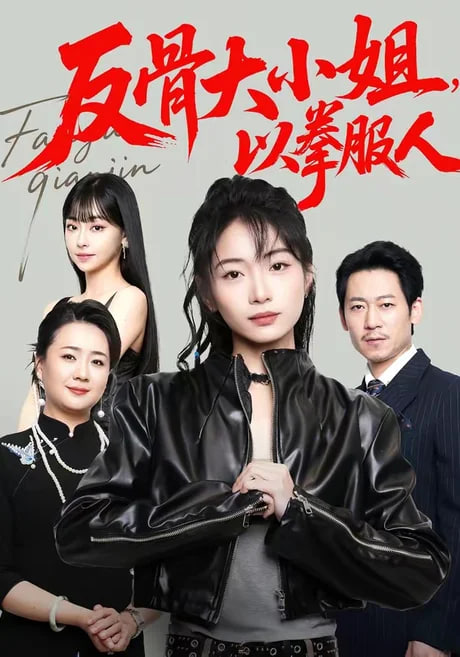 反骨大小姐，以拳服人全集