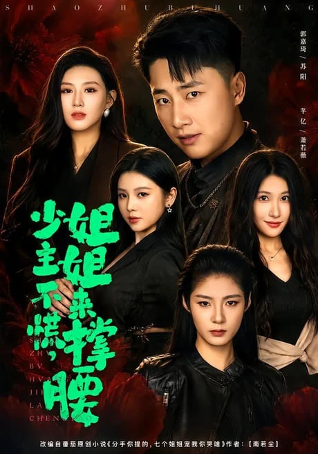 少主不慌，姐姐来撑腰全集
