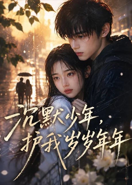 沉默少年，护我岁岁年年全集
