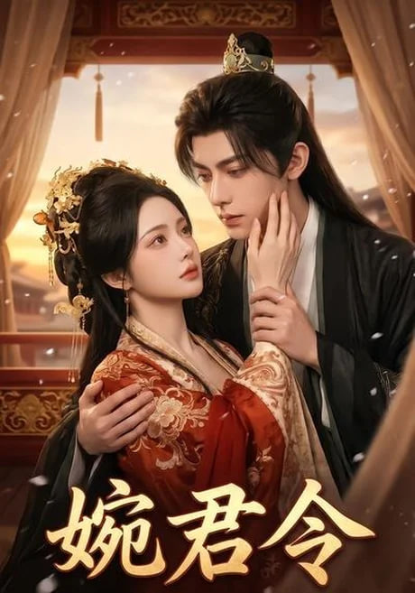婉君令全集