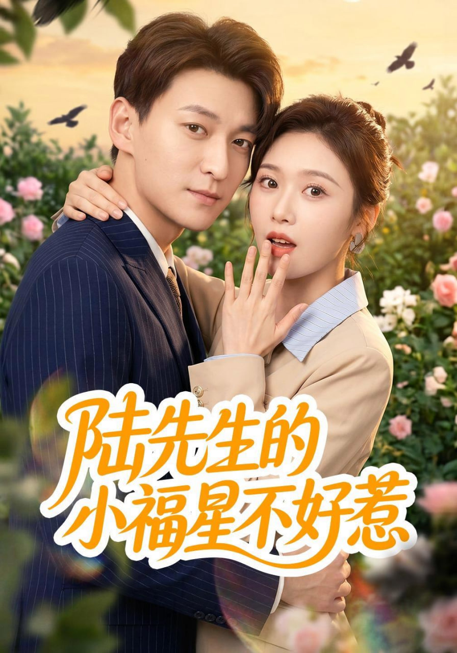陆先生的小福星不好惹全集