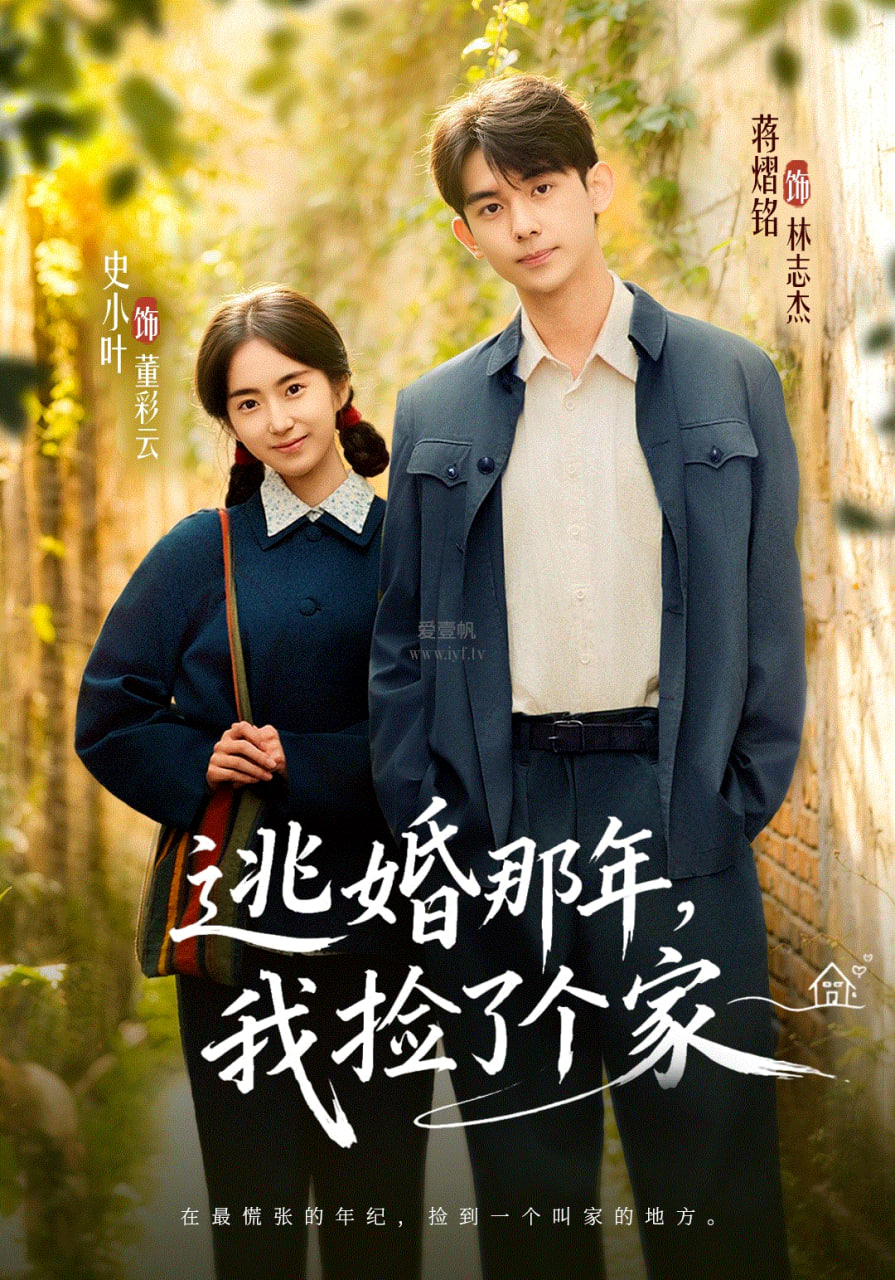 逃婚那年，我捡了个家全集