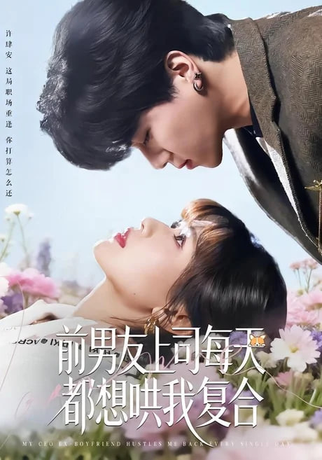 前男友上司每天都想哄我复合全集