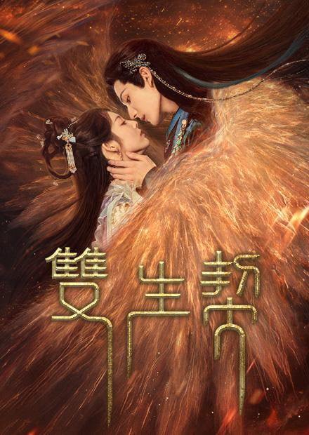双生契全集