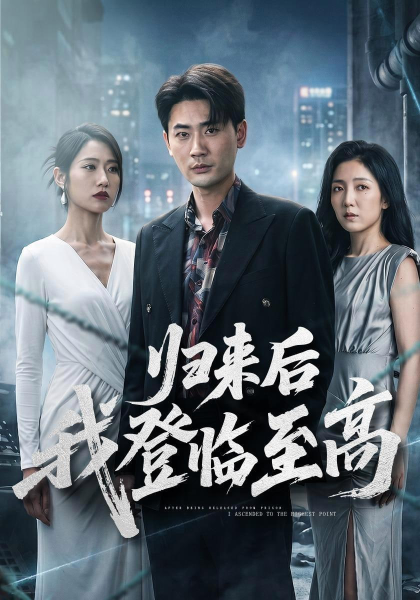 归来后我登临至高全集