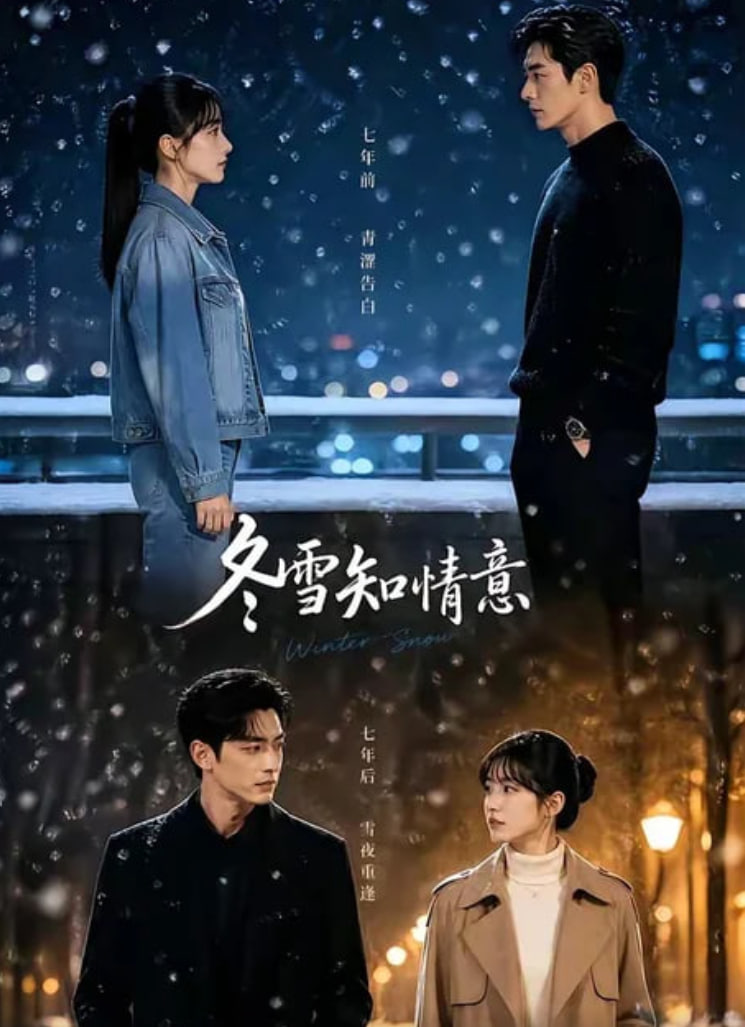 冬雪知情意全集