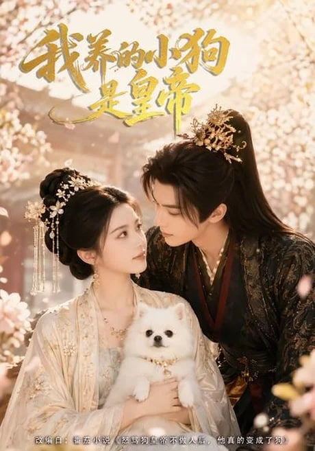 我养的小狗是皇帝全集