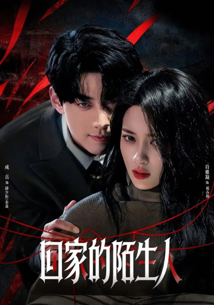 回家的陌生人全集