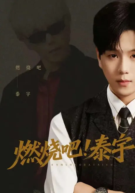 燃烧吧！泰宇全集