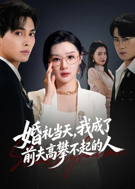 婚礼当天，我成了前夫高攀不起的人全集