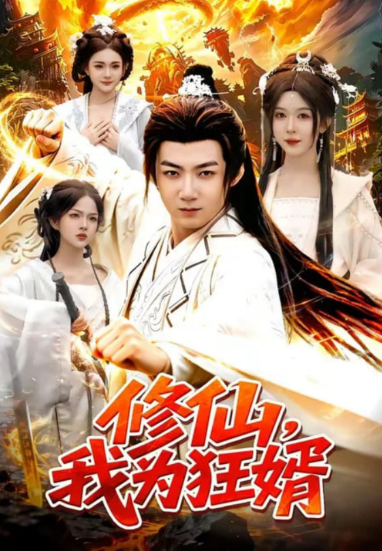 修仙，我为狂婿全集