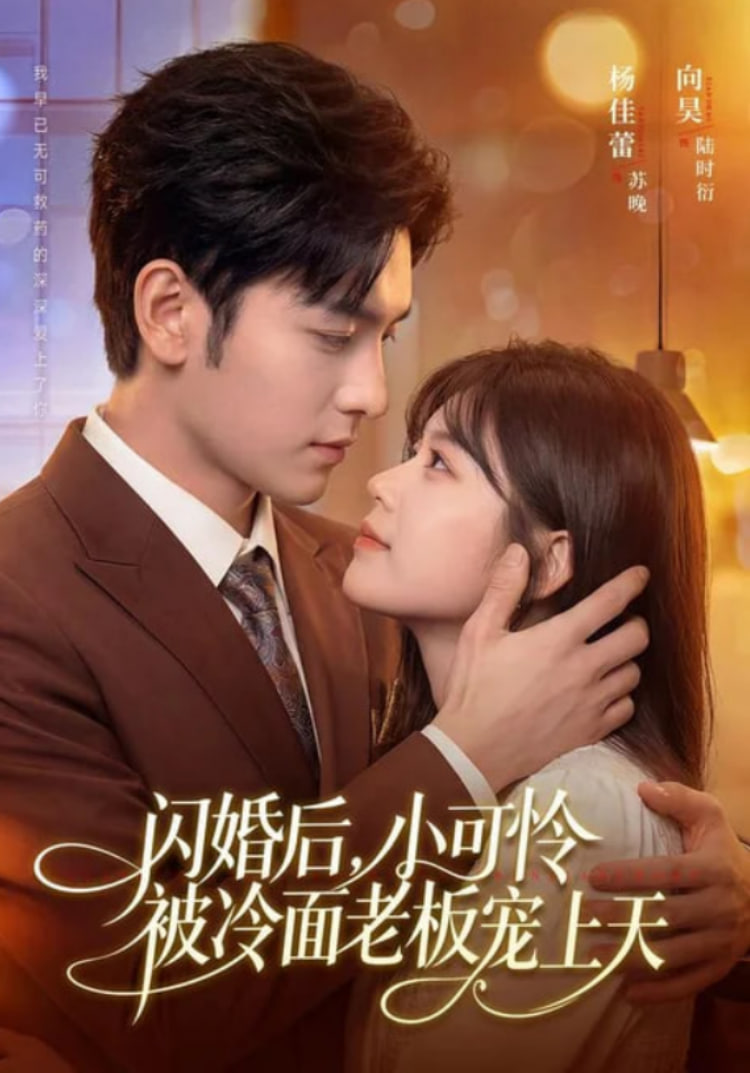 闪婚后，小可怜被冷面老板宠上天全集