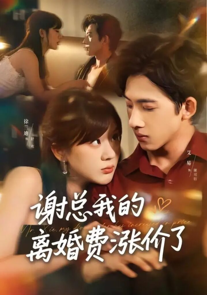 谢总我的离婚费涨价了全集
