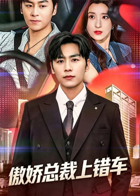 傲娇总裁上错车全集