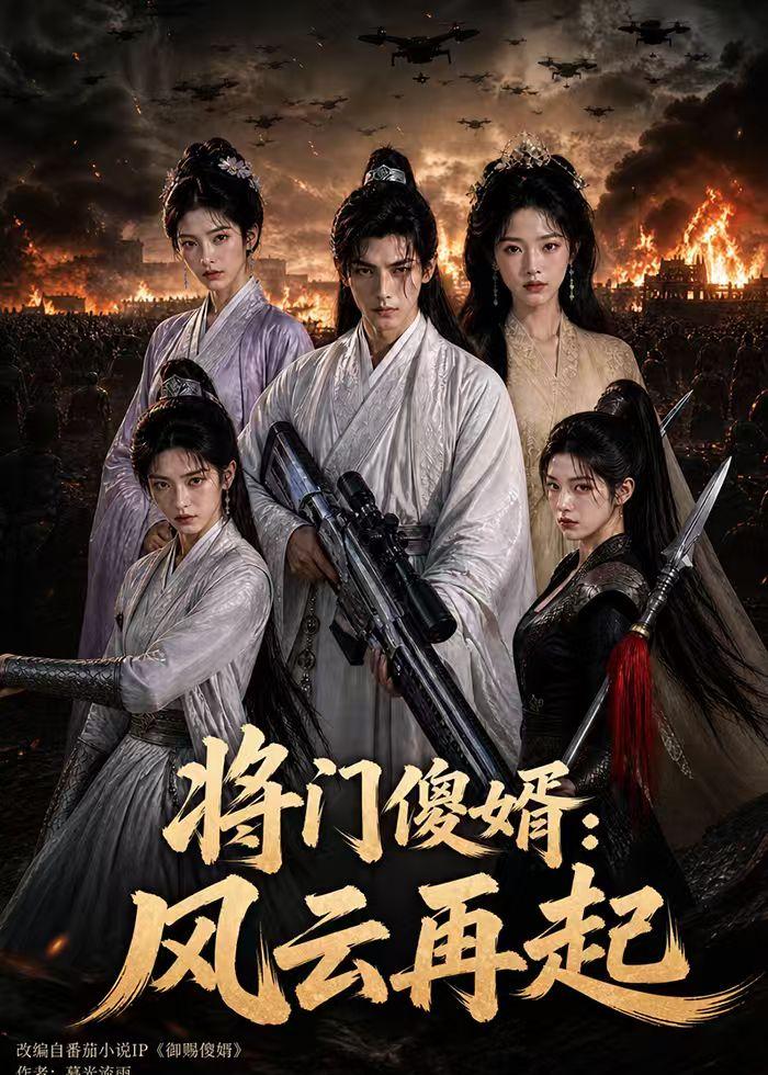 将门傻婿：风云再起全集
