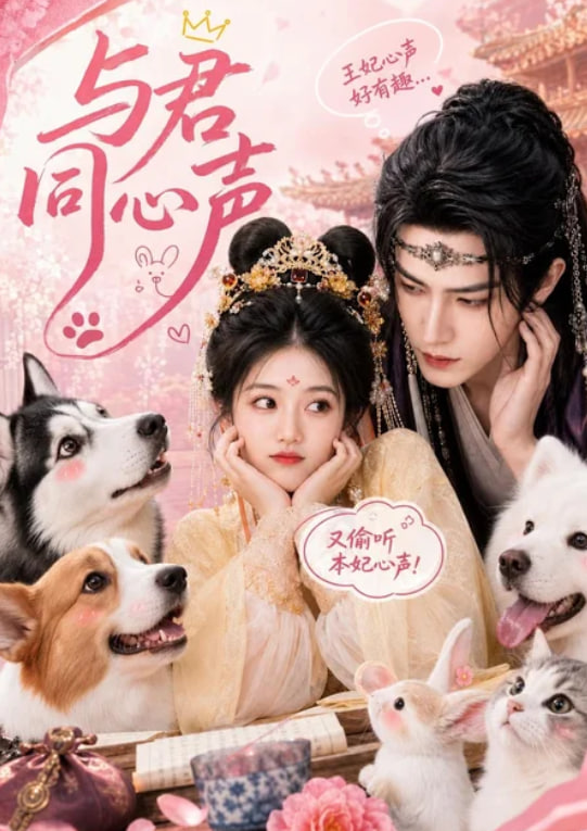 与君同心声全集