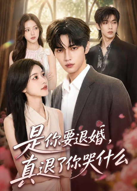 是你要退婚，真退了你哭什么全集