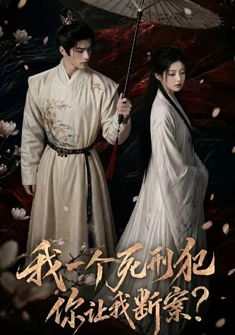 我一个死刑犯，你让我断案全集